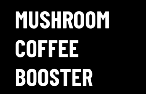 mushroom coffee booster